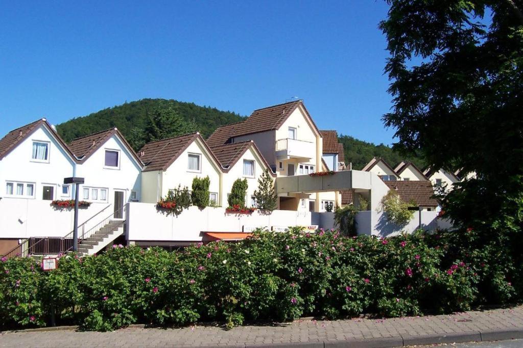 Seeblick Geniessen In Schoener Fewo Am Edersee Scheid  Kültér fotó